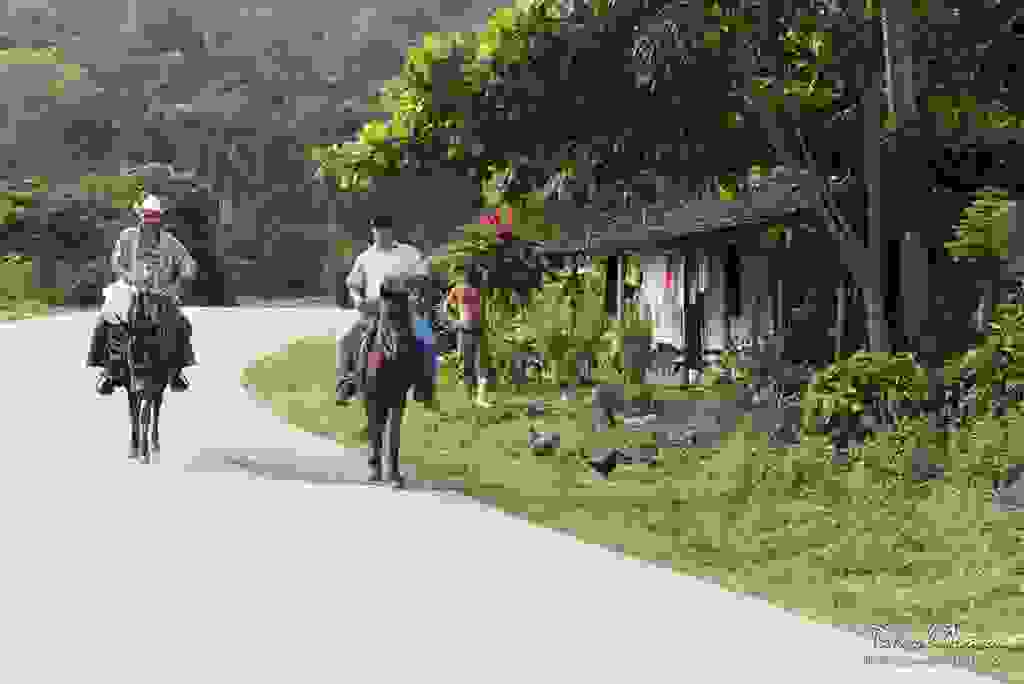 PAT6336.jpg