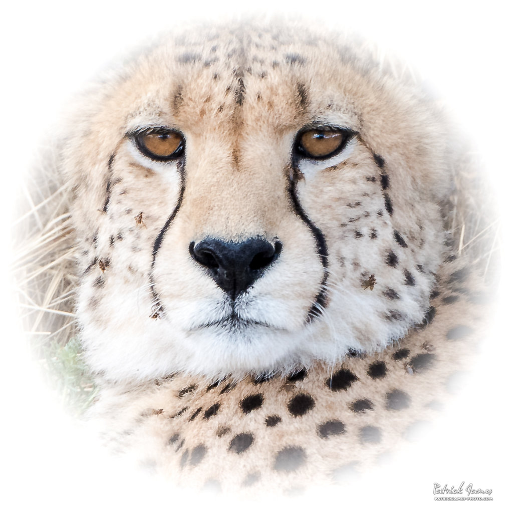 Namibie