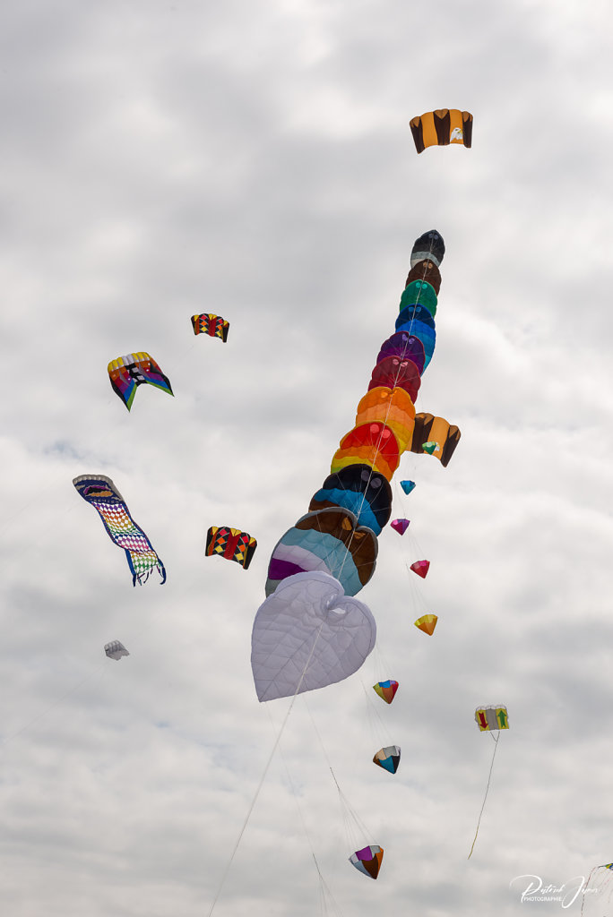 DSC-2404.jpg