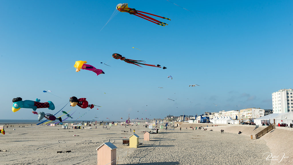 DSC-2674.jpg